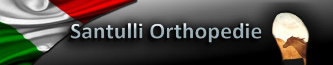 Santulli orthopedie bv deals